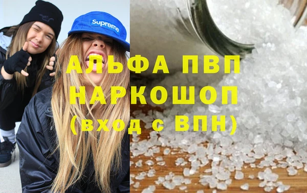 ECSTASY Медвежьегорск