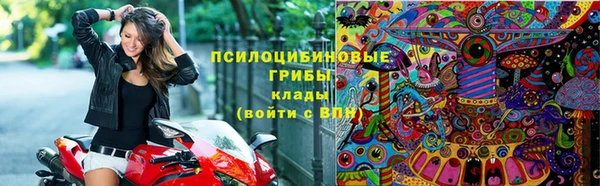 ECSTASY Медвежьегорск