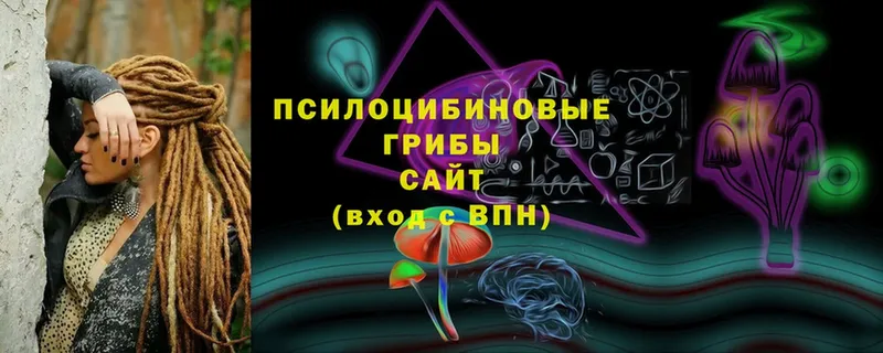 Псилоцибиновые грибы Psilocybe  Воткинск 