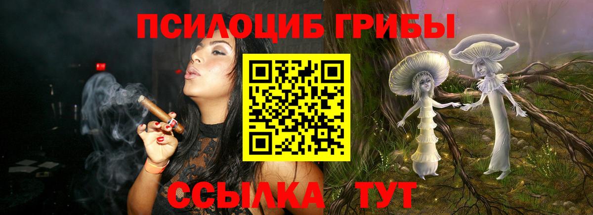 Воткинск  Псилоцибиновые грибы Psilocybe  Вход с VPN 