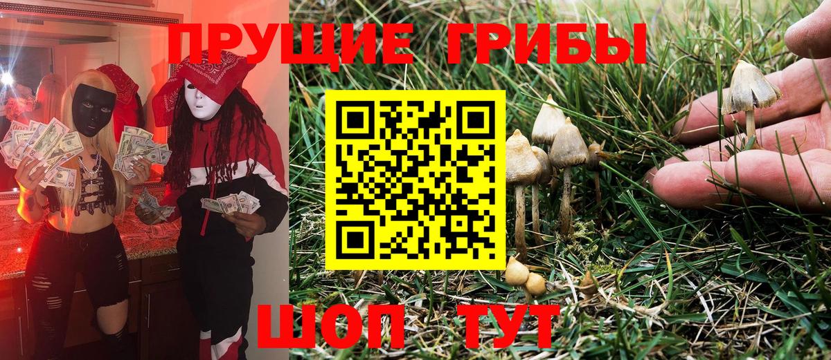 Псилоцибиновые грибы Cubensis Воткинск